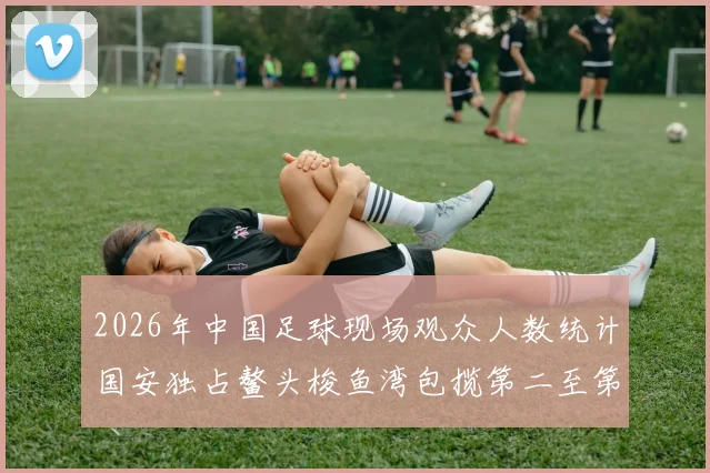 2026年中国足球现场观众人数统计国安独占鳌头梭鱼湾包揽第二至第七位